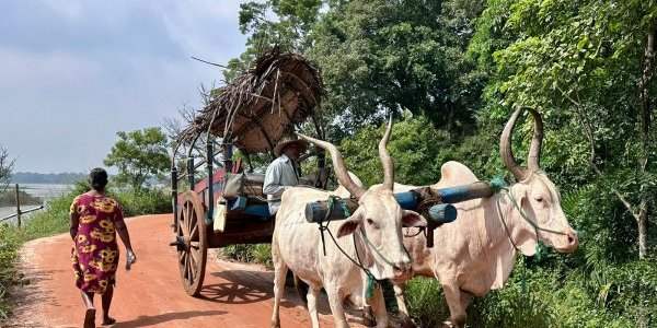 Explorez le Sri Lanka avec Atypique Lanka : Des Voyages sur Mesure et des Souvenirs Inoubliables