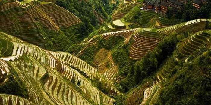 CONFÉRENCE ANTONELLA SPRING SUR LA RÉGION DU GUIZHOU