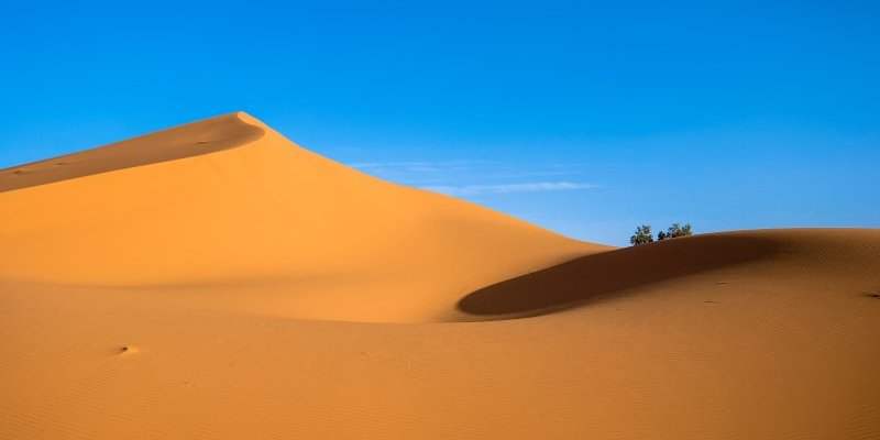 NETTOYAGE DU DESERT