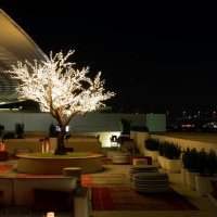 HAPPY HOURS : ART LOUNGE ROOFTOP DU LOUVRE