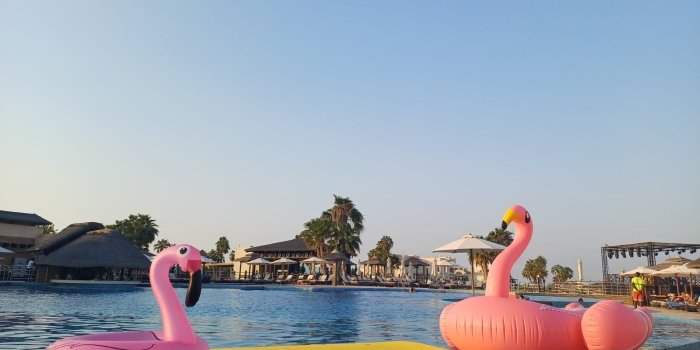 SORTIE Q3 - SECRET SANTA SUR AL MAYA ISLAND