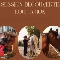 SESSION DECOUVERTE EQUITATION