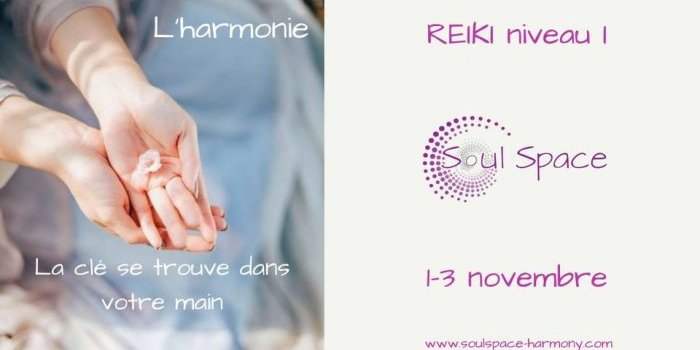 STAGE DE REIKI NIVEAU I