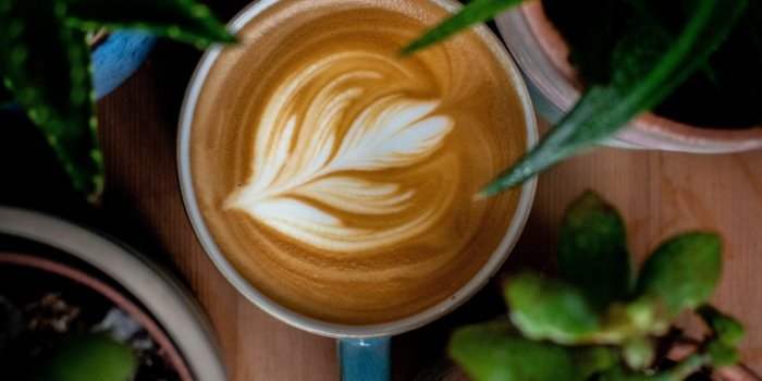 CAFÉ ECO-FRIENDLY en collaboration avec l'ADFE