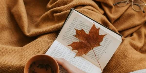 Recommandation du Club de lecture - Novembre 2023