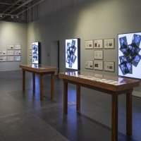 VISITE DE L'EXPOSITION "AND THE MIRRORS ARE MANY" AU WAREHOUSE 421