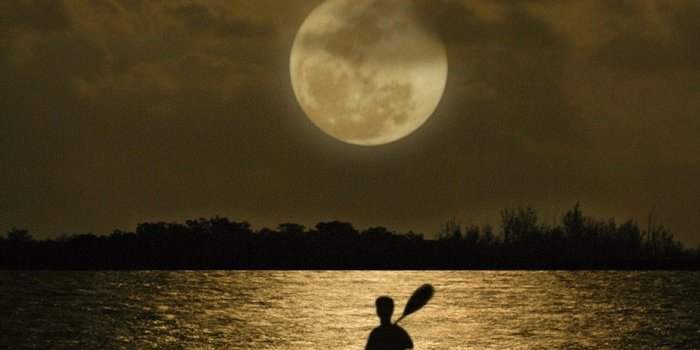 KAYAK FULL MOON EASTERN MANGROVES