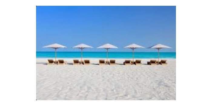 BEACH DAY PASS Q3