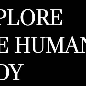 BODY MUSEUM