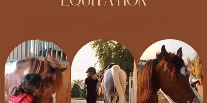 SESSION DECOUVERTE EQUITATION