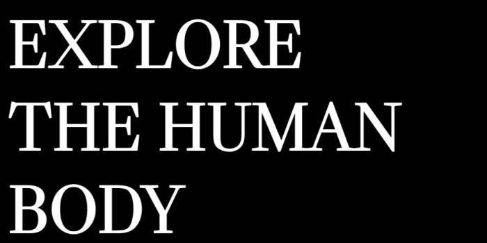 BODY MUSEUM